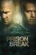 سریال فرار از زندان دوبله و زیرنویس | (Prison Break)